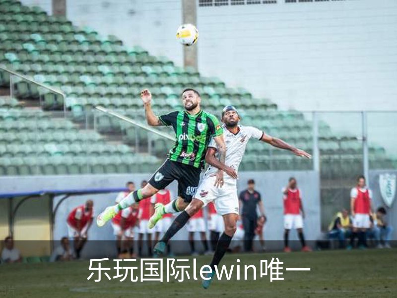 了解乐玩国际lewin唯一